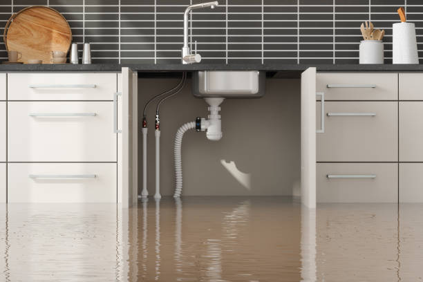 Shoreview, MN Water damage restoration Company